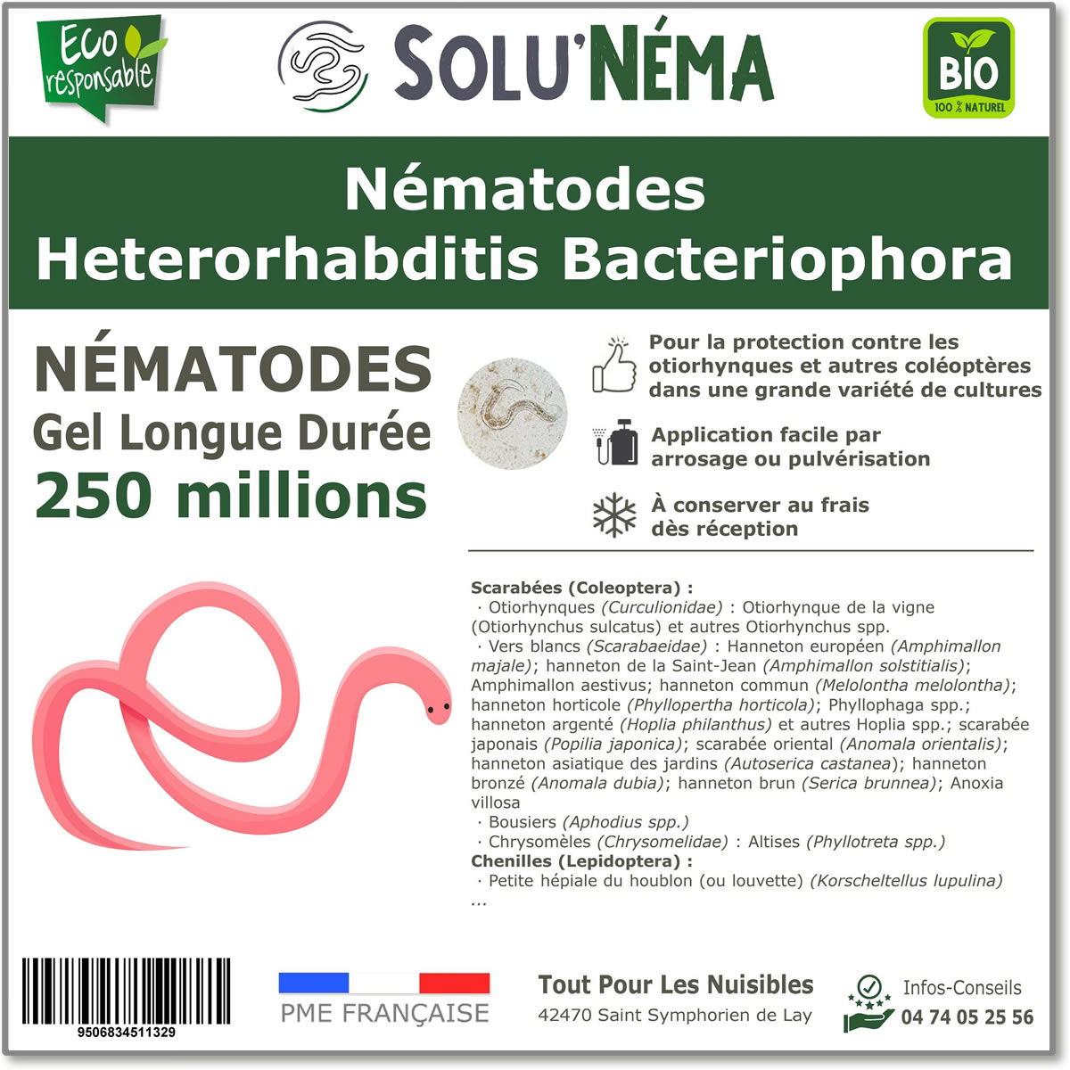 250 Millions Nématodes Heterorhabditis Bacteriophora (HB)