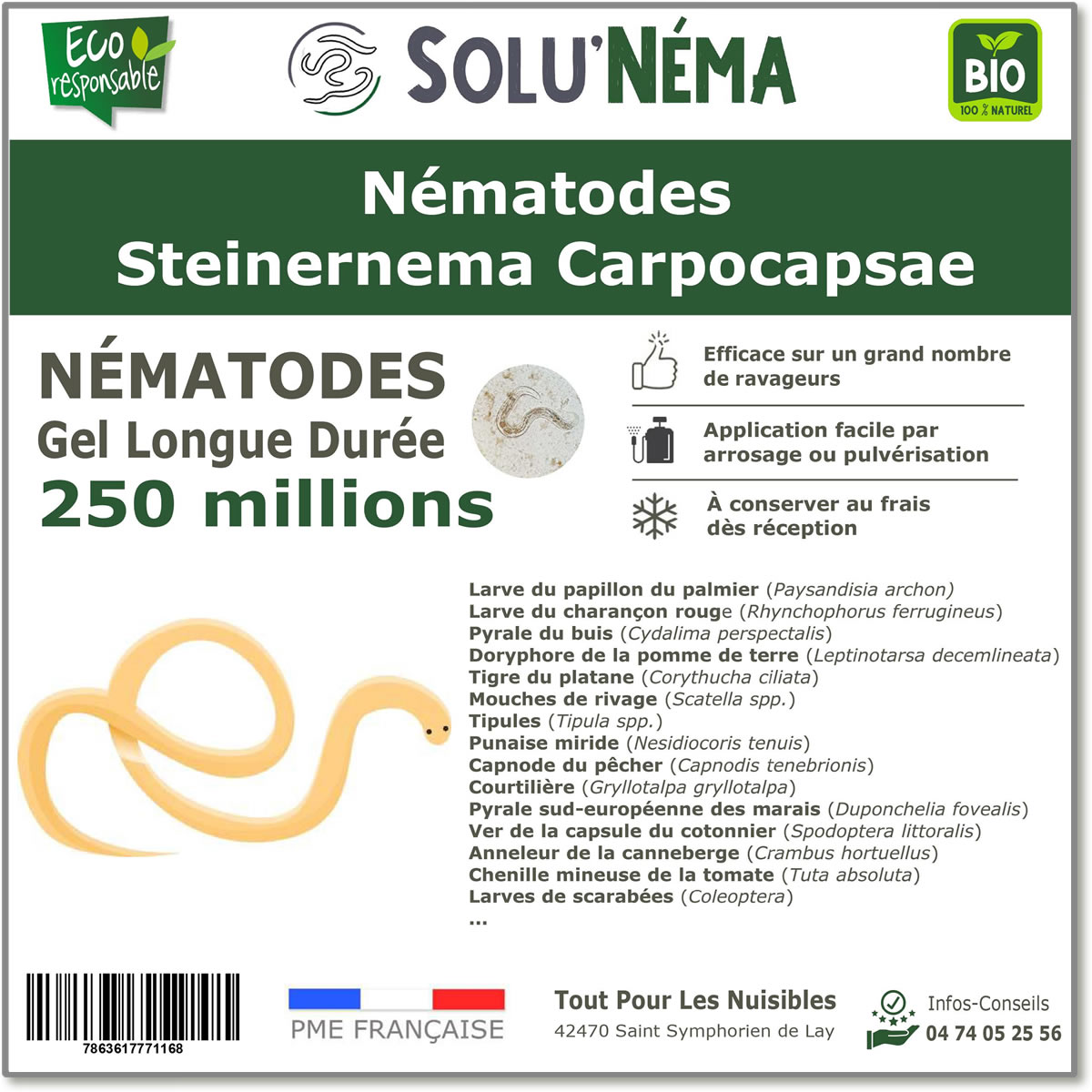 250 Millions Nématodes Steinernema Carpocapsae (SC)