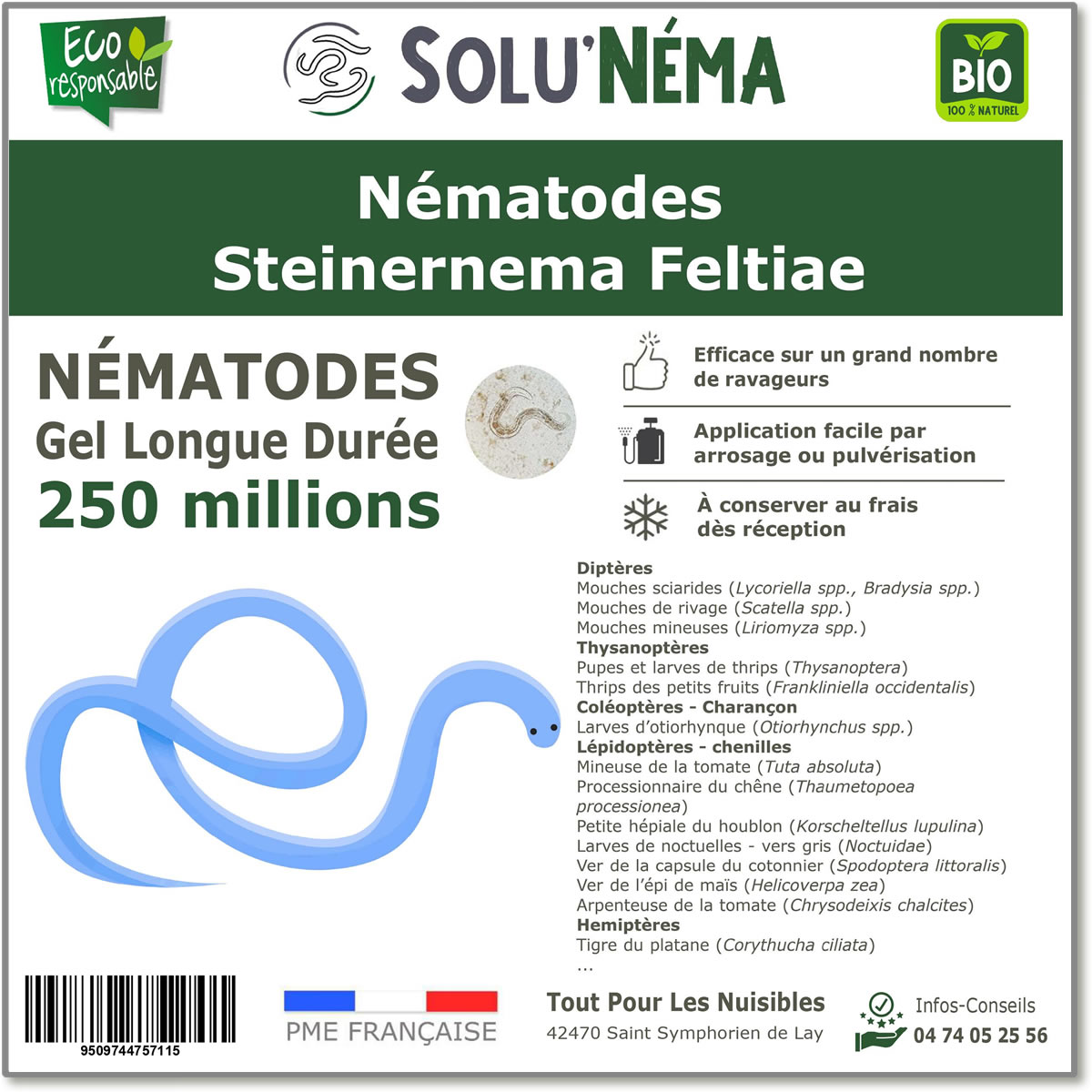 250 Millions Nématodes Steinernema Feltiae (SF)